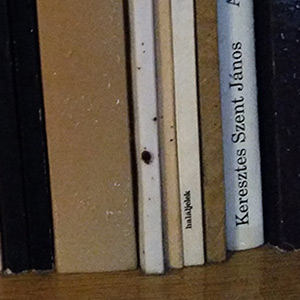 Poloskairtás Budapest - a könyvek között is kell poloskairtást végezni